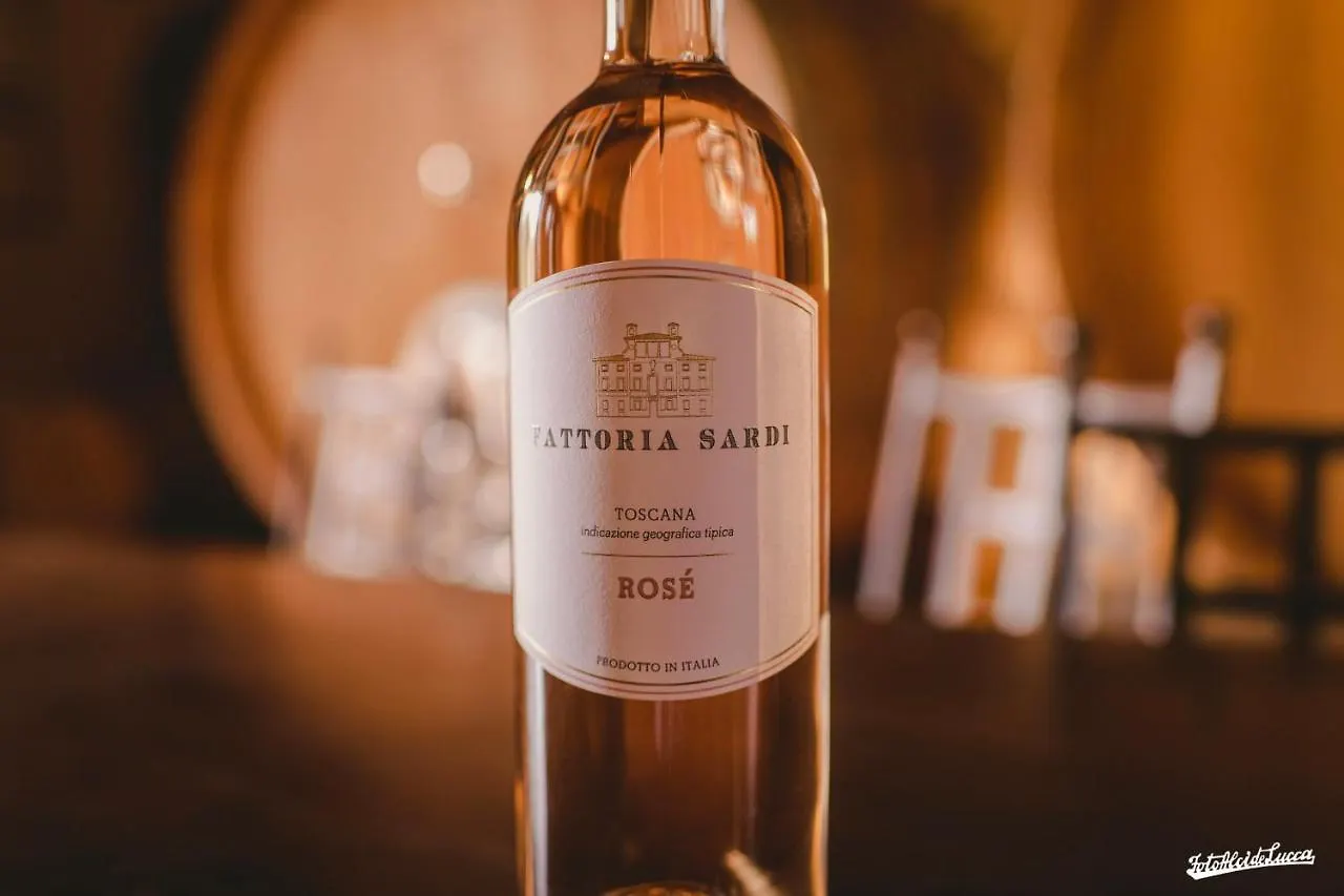 Fattoria Sardi Lucca