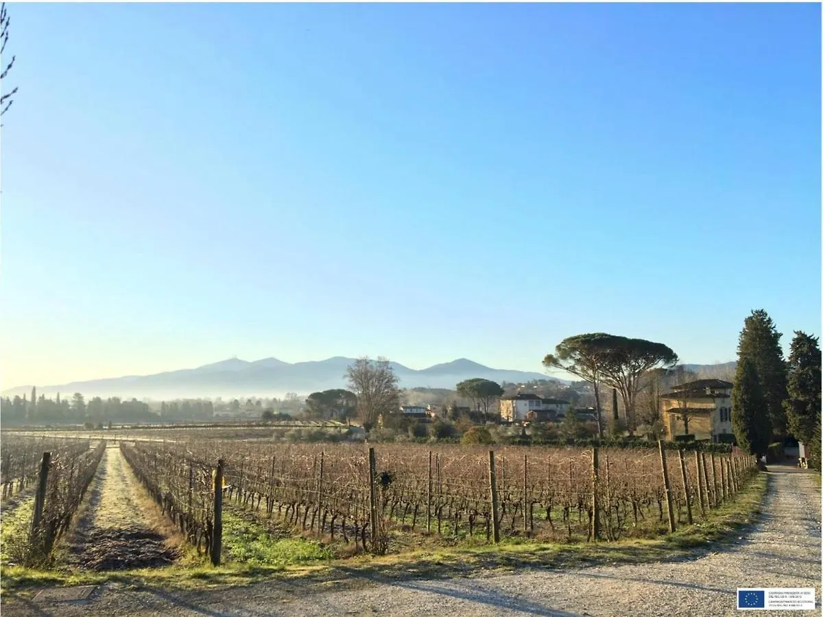 Fattoria Sardi Italy